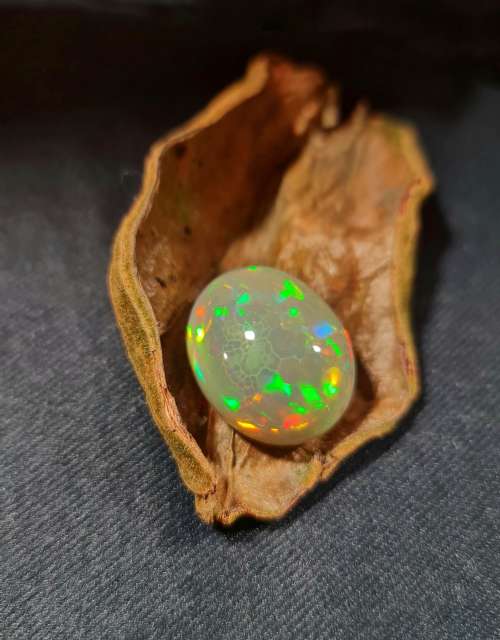Dino egg
