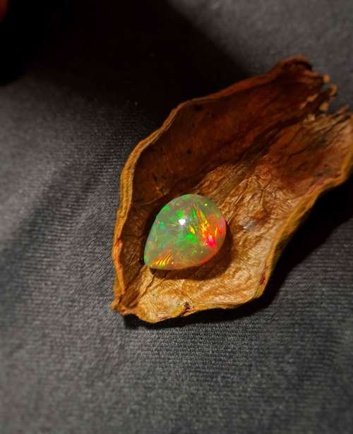 Fire light – Image 2