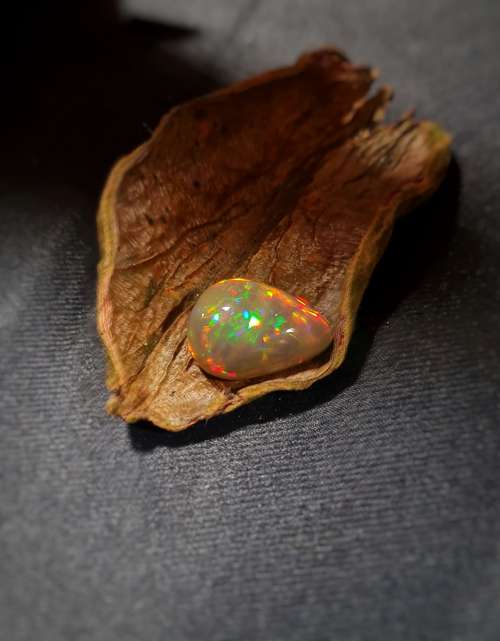 Autumn – Image 2